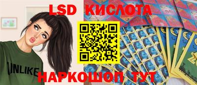 СК Славгород