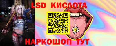 COCAINE Свободный