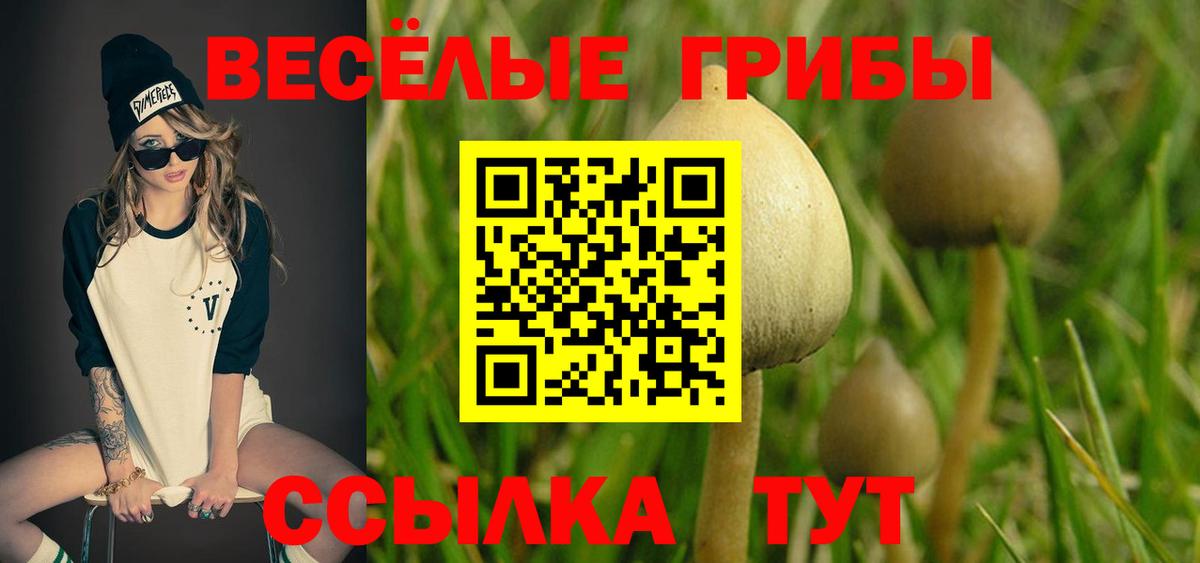 Галлюциногенные грибы ЛСД  Вход с VPN  Павлово 